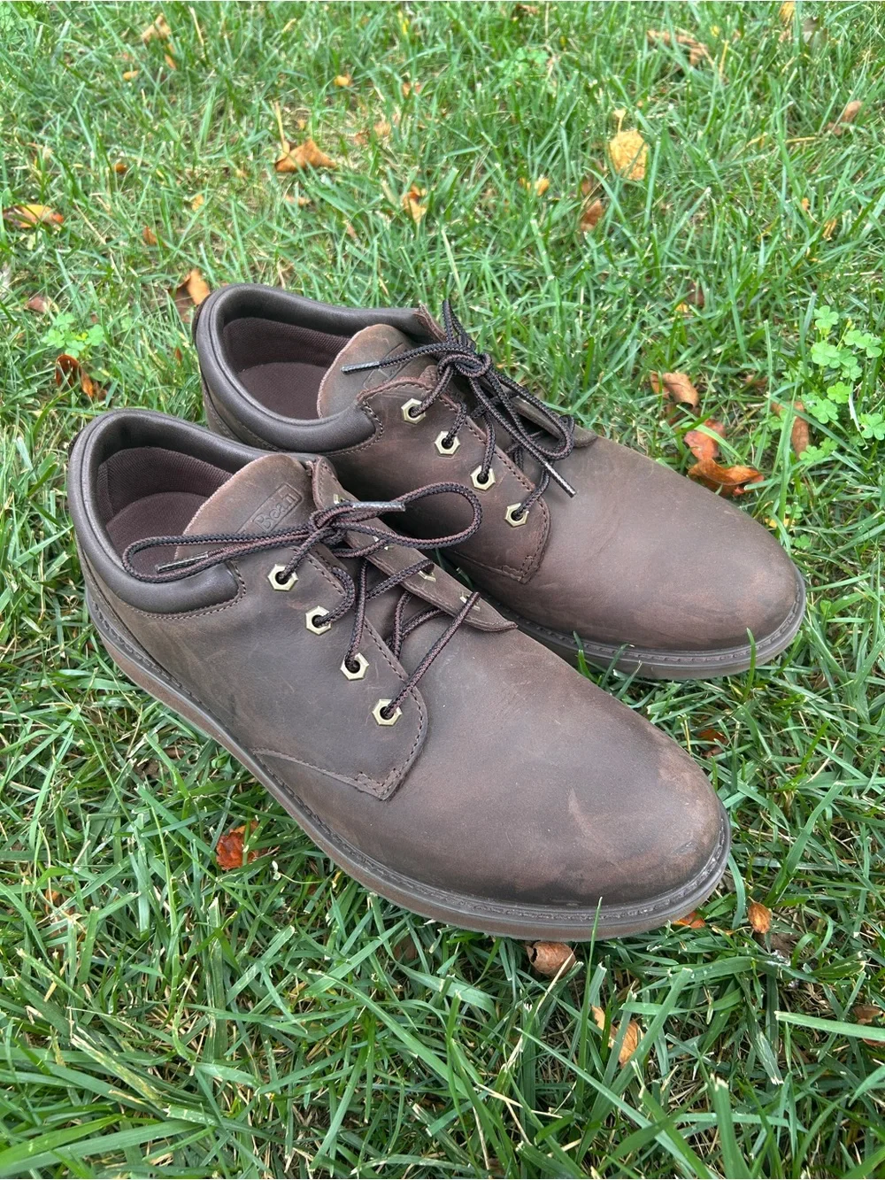 L.L. Bean Men's Dark Brown Leather Chukka Boots